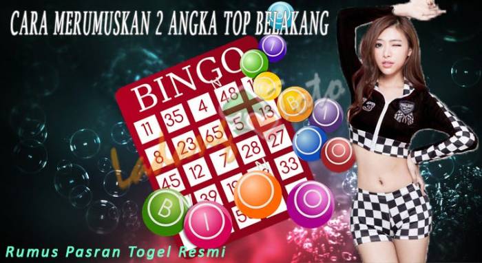 Singa 2D Togel: Panduan Lengkap dari A hingga Z