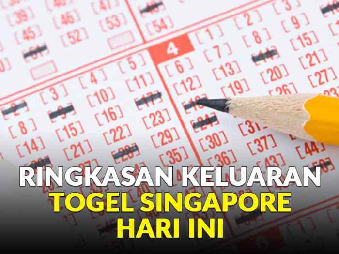 Singa Togel: Permainan Judi yang Menggiurkan dengan Risiko Tersembunyi